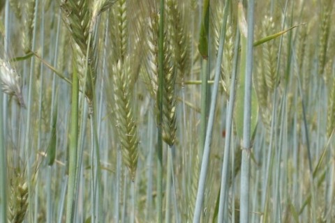 la fécondité de la Nature et de l'apprentissage